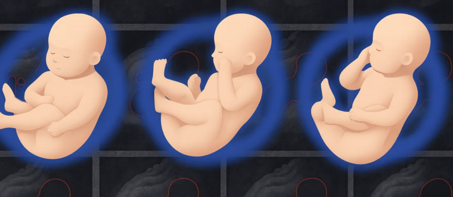AI Revolutionizes Fetal Imaging with Detailed 3D Health Models